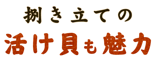 捌き立ての活け貝も魅力